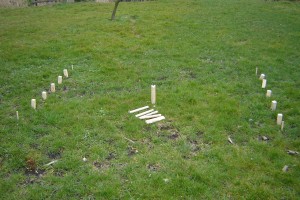 kubb